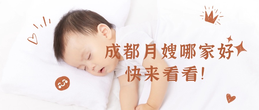 宠物公众号首图 (2)